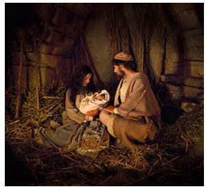 manger nativity image